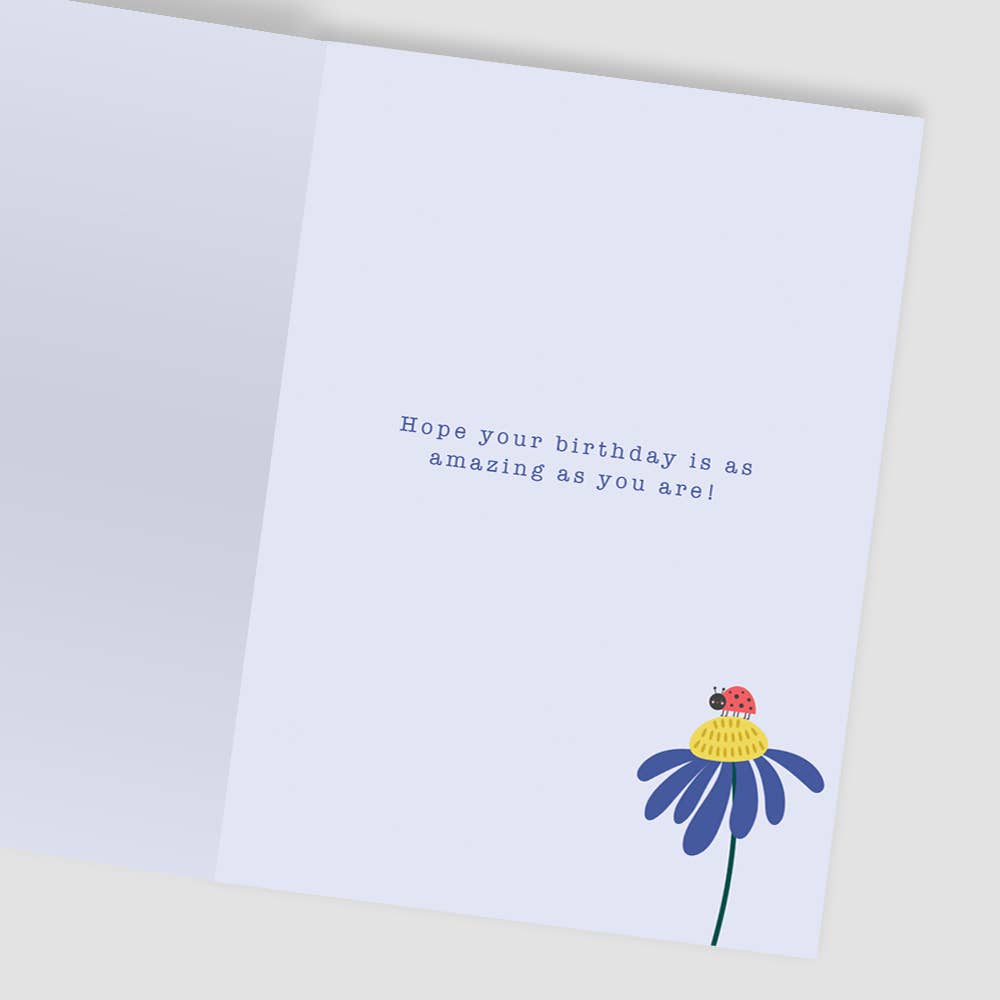 Second Nature Ltd - Vente Carte de vœux classique - Fleurs & Coccinelle - Fleur Sauvage - Seconde Nature2