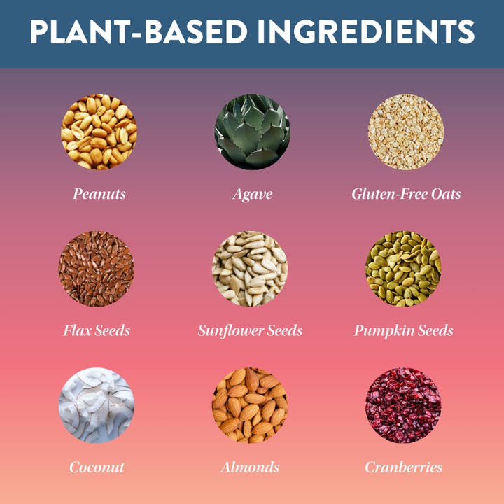 Protein Puck - Wholesale Snack Bar - Wanderlust (Peanut Butter, Cranberry) (16 - 3.25oz Bars)3