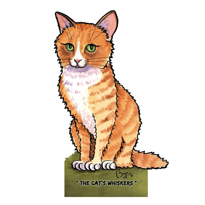 LOOPRINTS – wholesale Toilet paper holder – Toilet Roll Holder & Kitchen Roll Holder - Ginger Cat