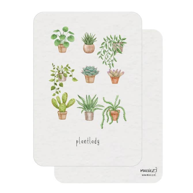 Mousie - Wholesale Everyday Greeting Card - Luxury greeting card17