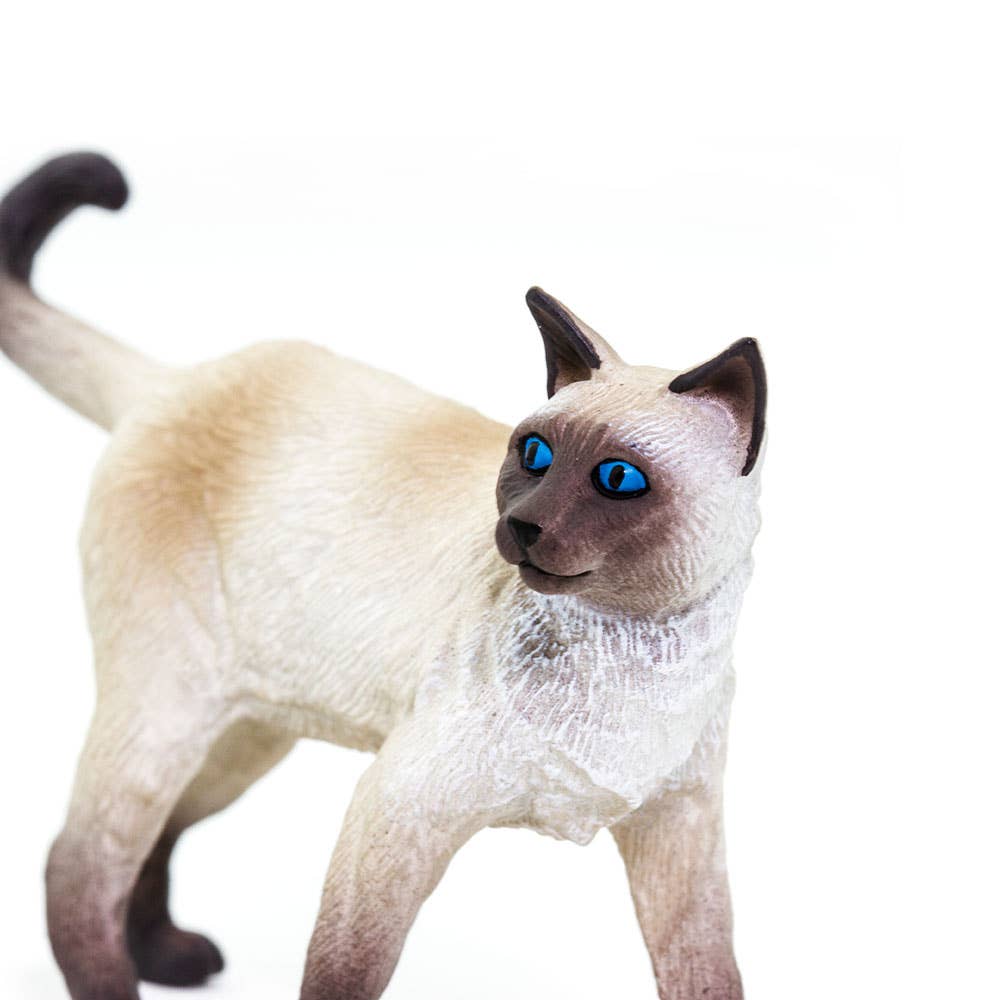 Safari Ltd. - Wholesale Figurine Toy - Kids - Siamese Cat Figurine Toy4
