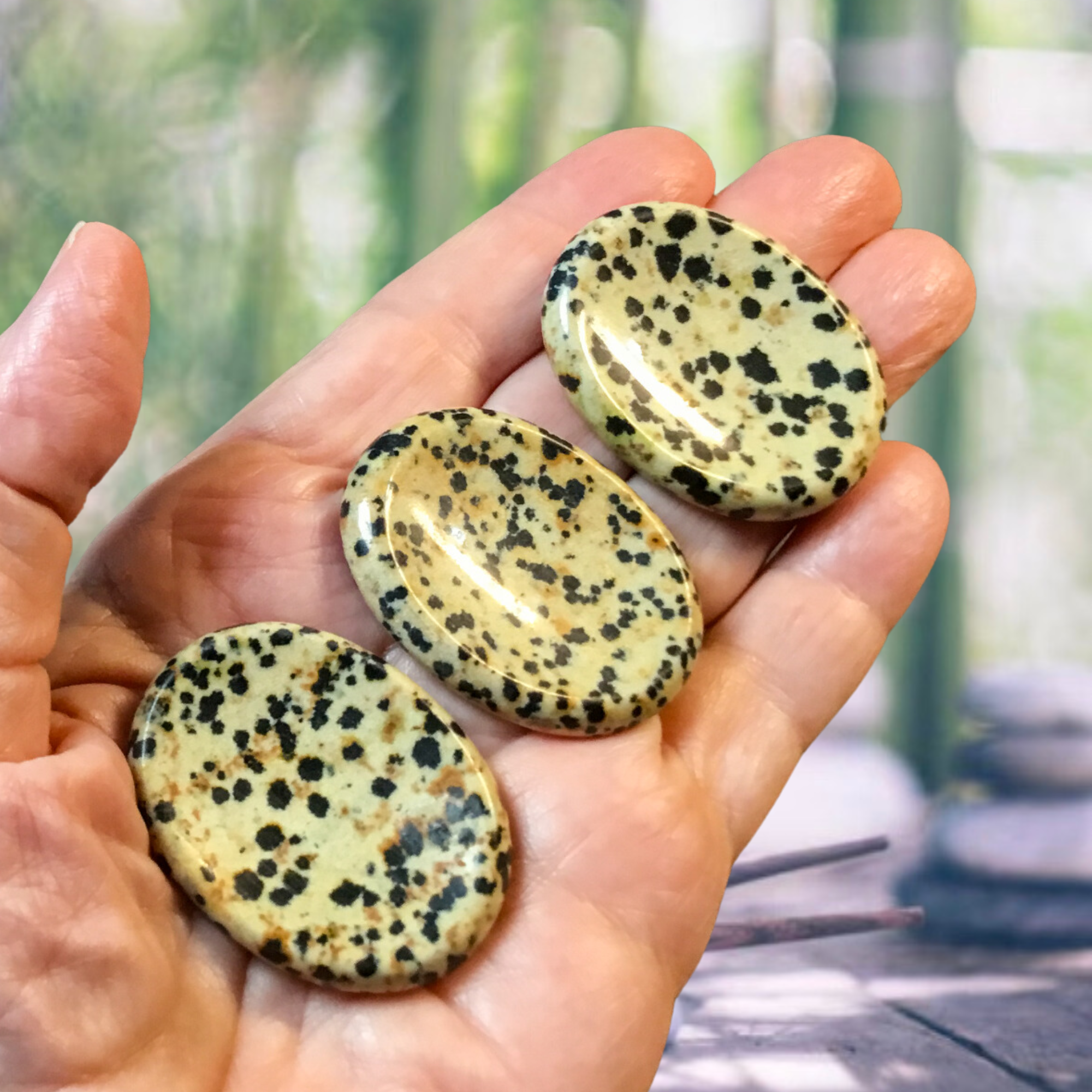 Essential Wellness - Body, Mind, Spirit - Vente Pierre et cristal de spiritualité - Pierre de souci en jaspe dalmatien avec option de carte d'information2