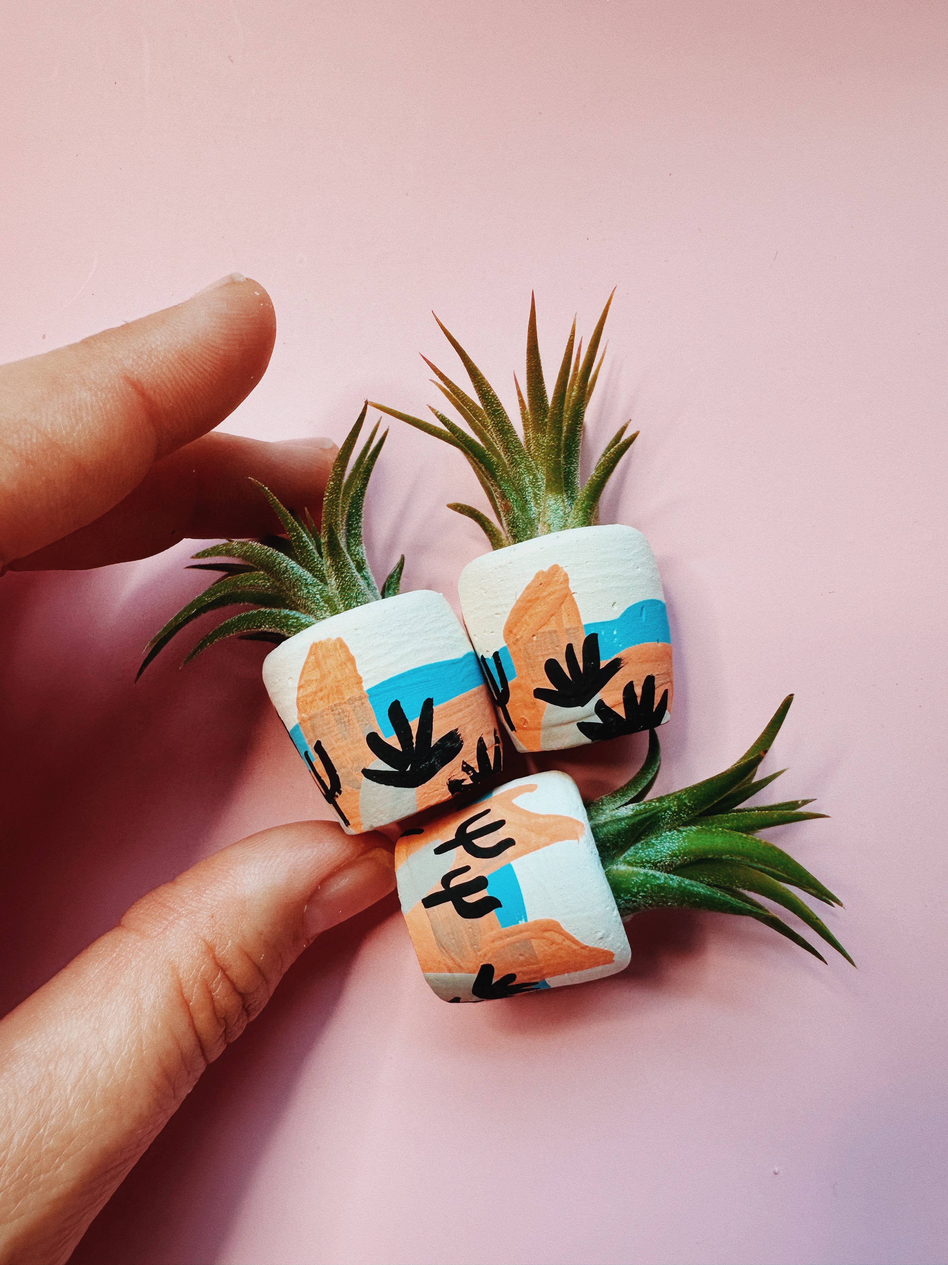 O'Berry's Succulents - Vente Pot - Mini jardinière Winslow2