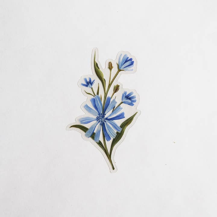 Chicory Clear Sticker for wholesale by Jessi Evans