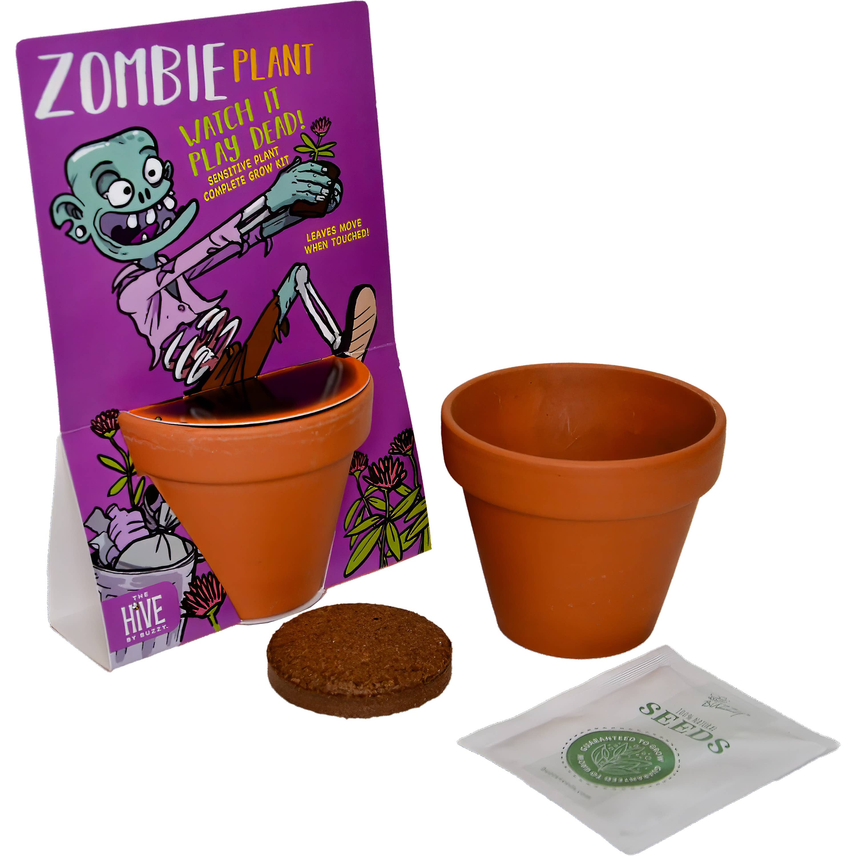 Buzzy Seeds Grow Gifts - Wholesale Plant Pot - Zombie Terracotta Grow Pot – Unique Indoor Plant Gift1