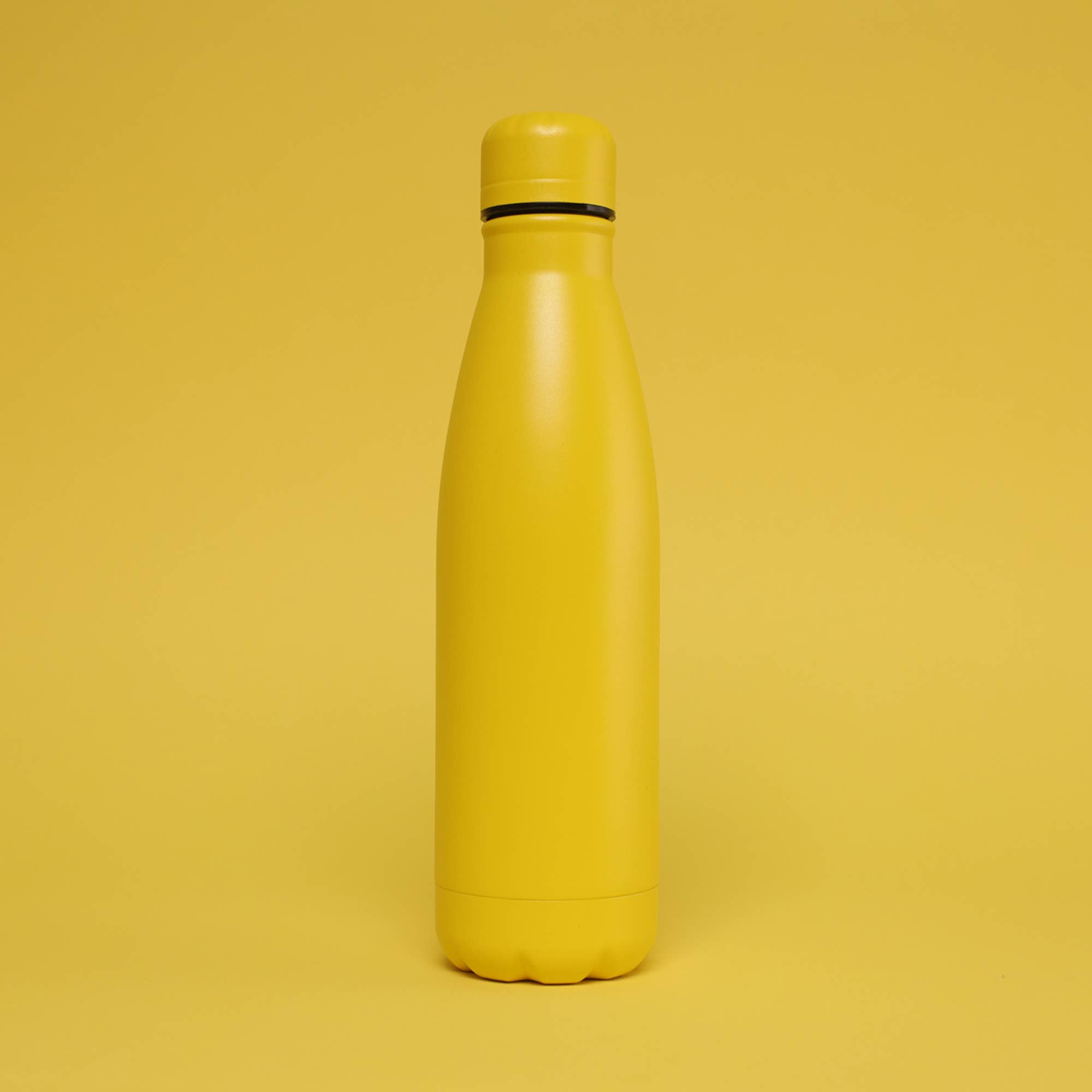 Redbrick - Vendita all'ingrosso Borracce - Bottiglia d'acqua in acciaio inox VERSAI da 500 ml con design Coca-Cola47