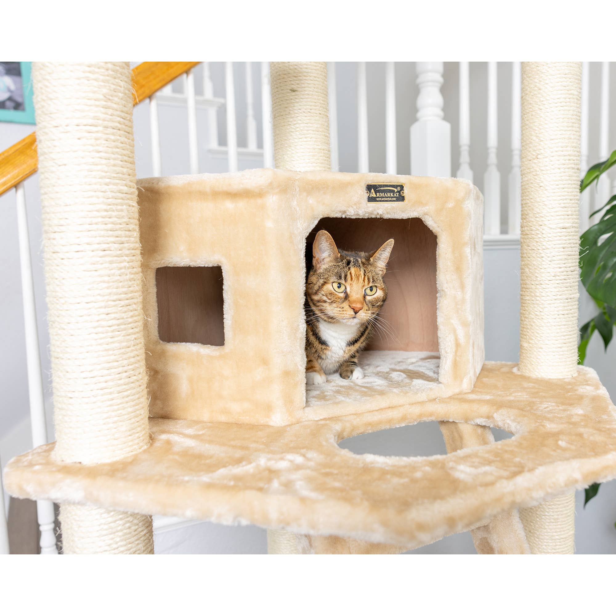 Armarkat - Wholesale Pet Scratcher - Cat - Armarkat Multi-function Real WOOD Cat Tower Beige8