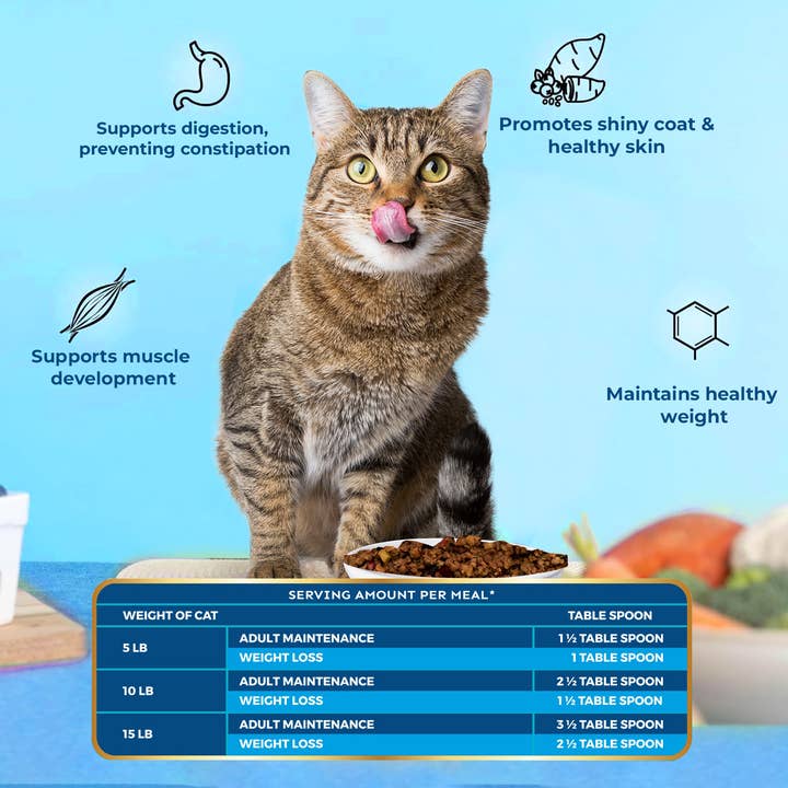 Pawfect Foods - Wholesale Pet Food - Cat - Pawfect Nature's Kitchen Freeze Dried Cat Food, Fish Recipe | Complete and Balanced Meal | All-Natural | Zero Preservatives | Grain Free | High Protein Food4