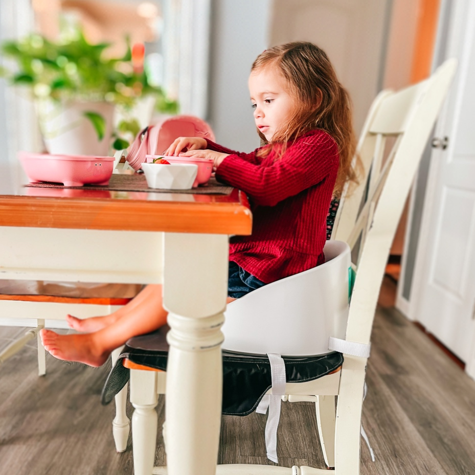 Prince Lionheart - Wholesale Booster Seat - Kids - Booster SQUISH™14