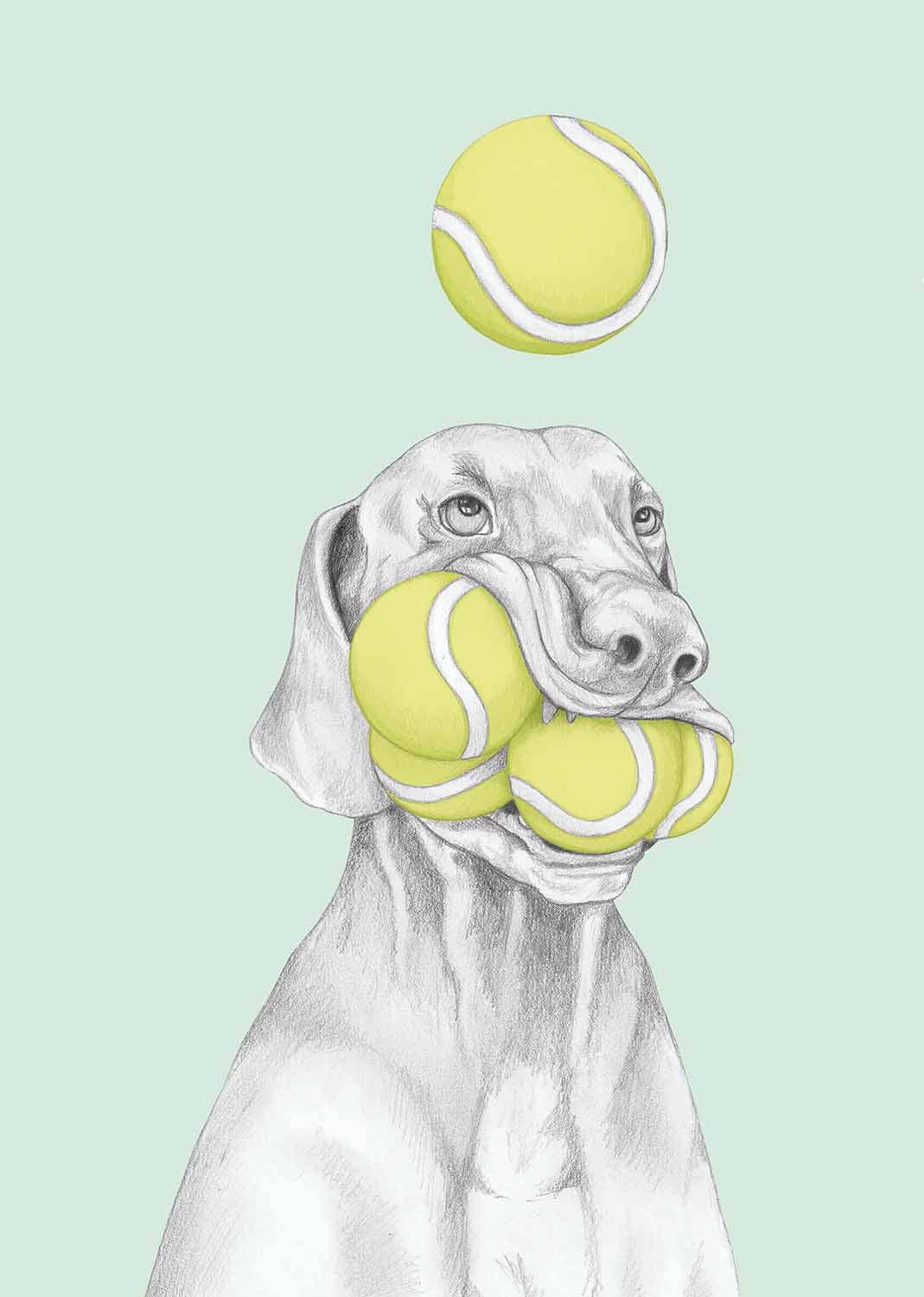 I AM NIEN - Wholesale Everyday Greeting Card - Vizsla1