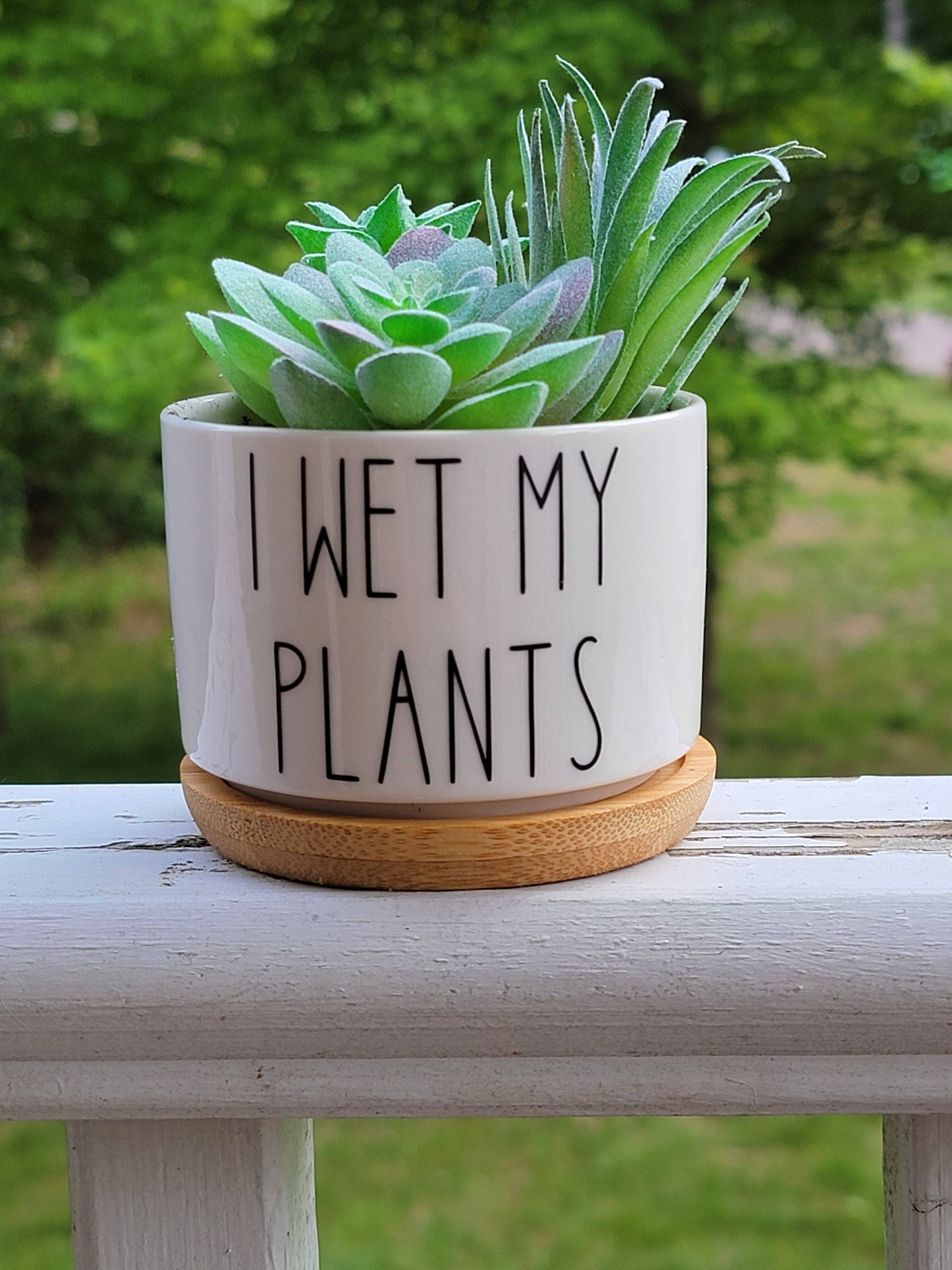 Vulpine Vinyls - Vente Pot - Lot de 2 pots à succulentes « I Soiled Myself » et « I Wet My Plants »2