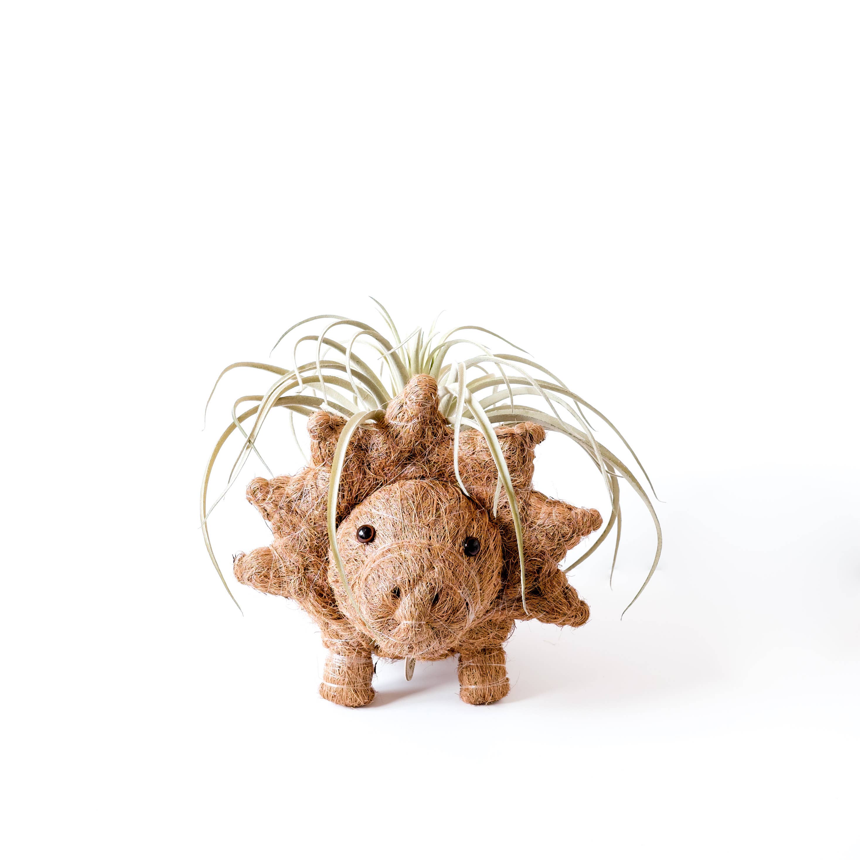 LIKHÂ - Wholesale Plant Pot - Animal Planter - Triceratops | LIKHA3