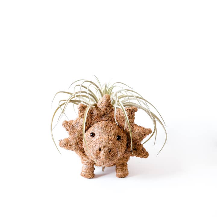 LIKHÂ - Wholesale Plant Pot - Animal Planter - Triceratops | LIKHA3