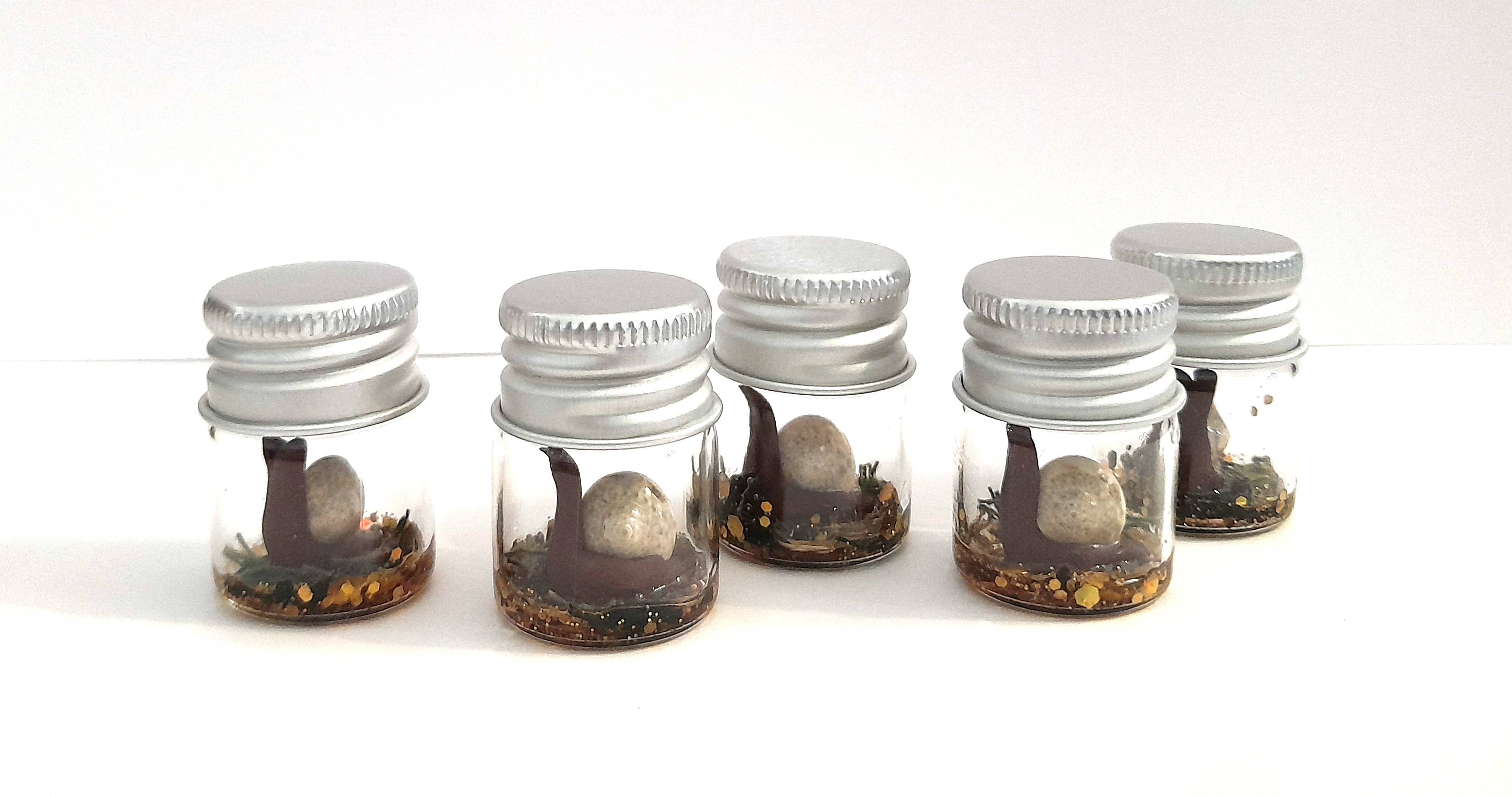 SUPERAWWWSOME - Wholesale Gag Gift/Novelty Gift - Snail Specimen Bottle, Dollhouse Miniature, nature gift jar1