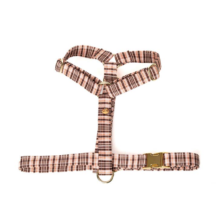 Tartan sele for engroshandel hos Archila