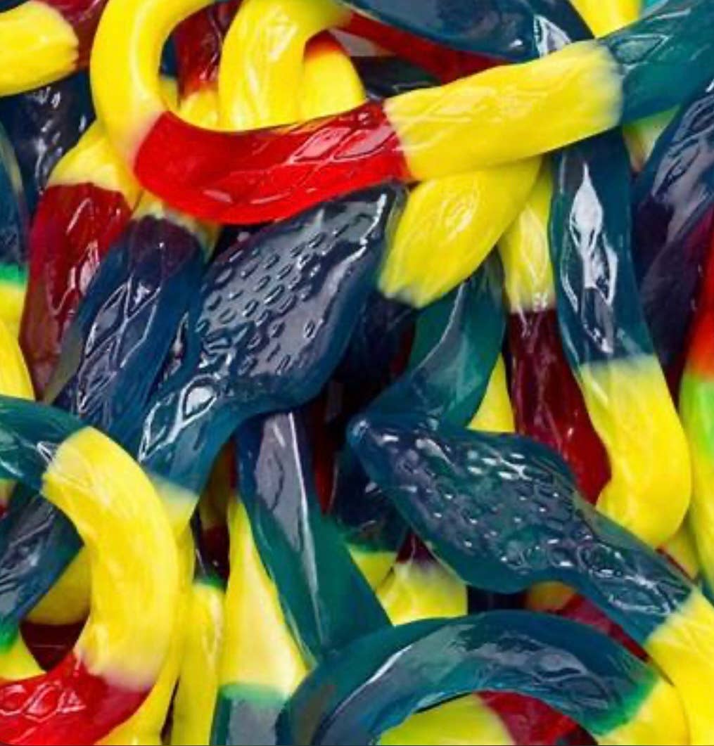 O'Shea's Candies Sweet Shop - Wholesale Gummy - Gummy Rainbow Rattlesnake 🐍 24 Inch Length  1PK3