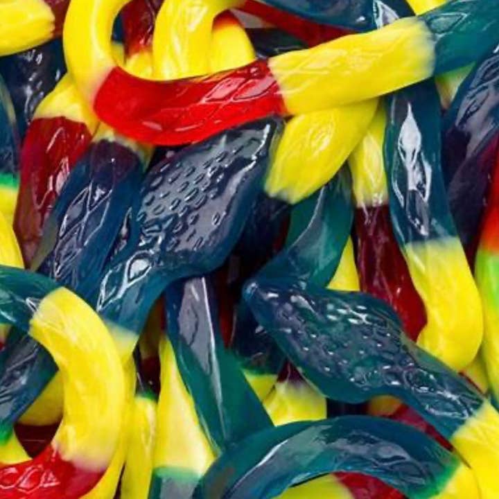 O'Shea's Candies Sweet Shop - Wholesale Gummy - Gummy Rainbow Rattlesnake ๐ 24 Inch Length ย 1PK3