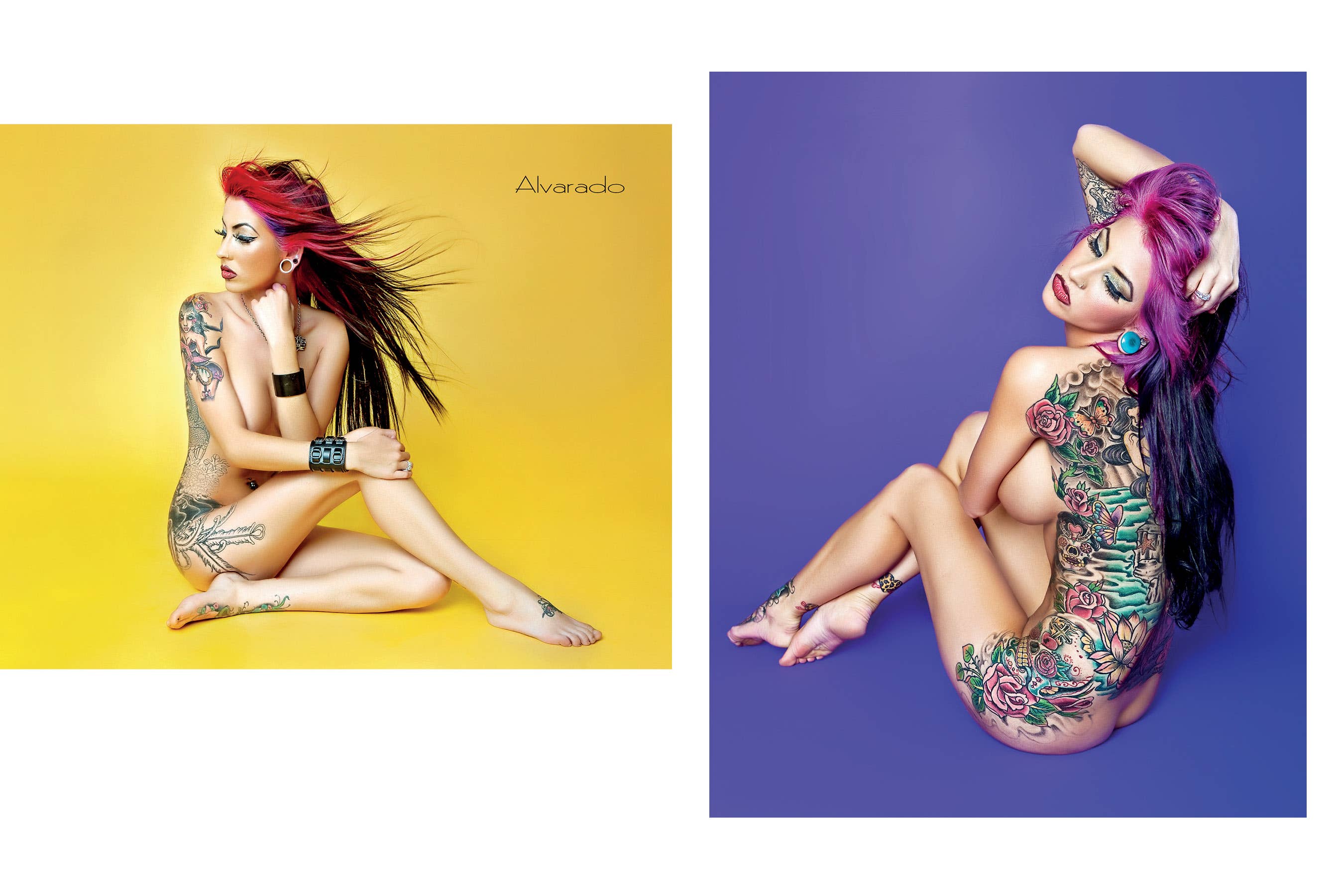 Schiffer Publishing - Venta al por mayor Display Book - Desnudos pin-up de Alvarado, 2ª edición2