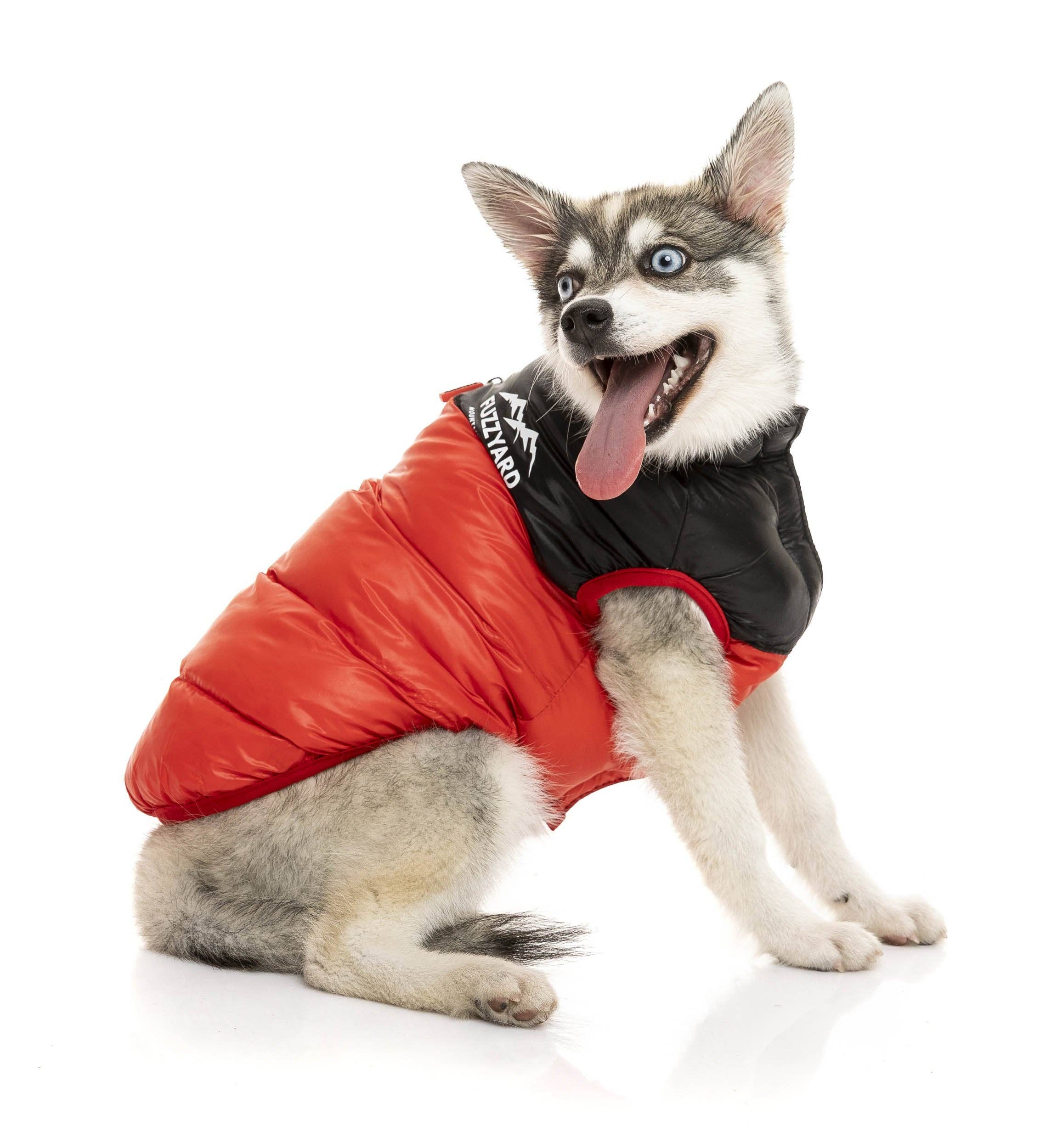 In Vogue Pets – wholesale Pet jacket – Dog – Harlem Puffer Jacket - Red5