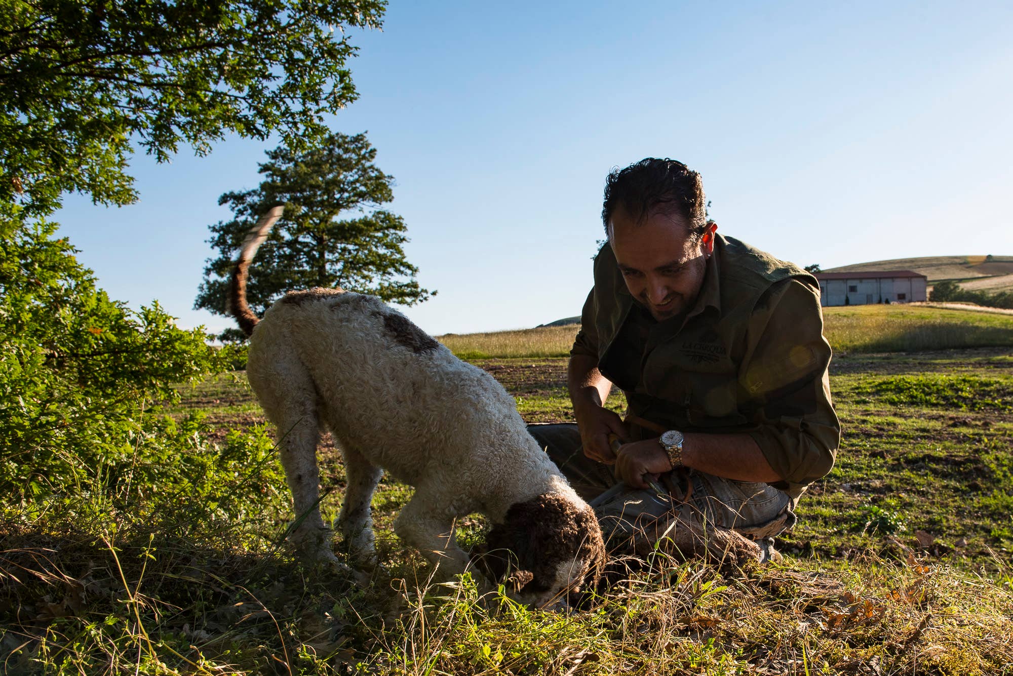 La Cerqua Tartufi – Großhandel Pasta – Instant-Polenta mit weißen Trüffeln, 100 % italienisch, 300 g4