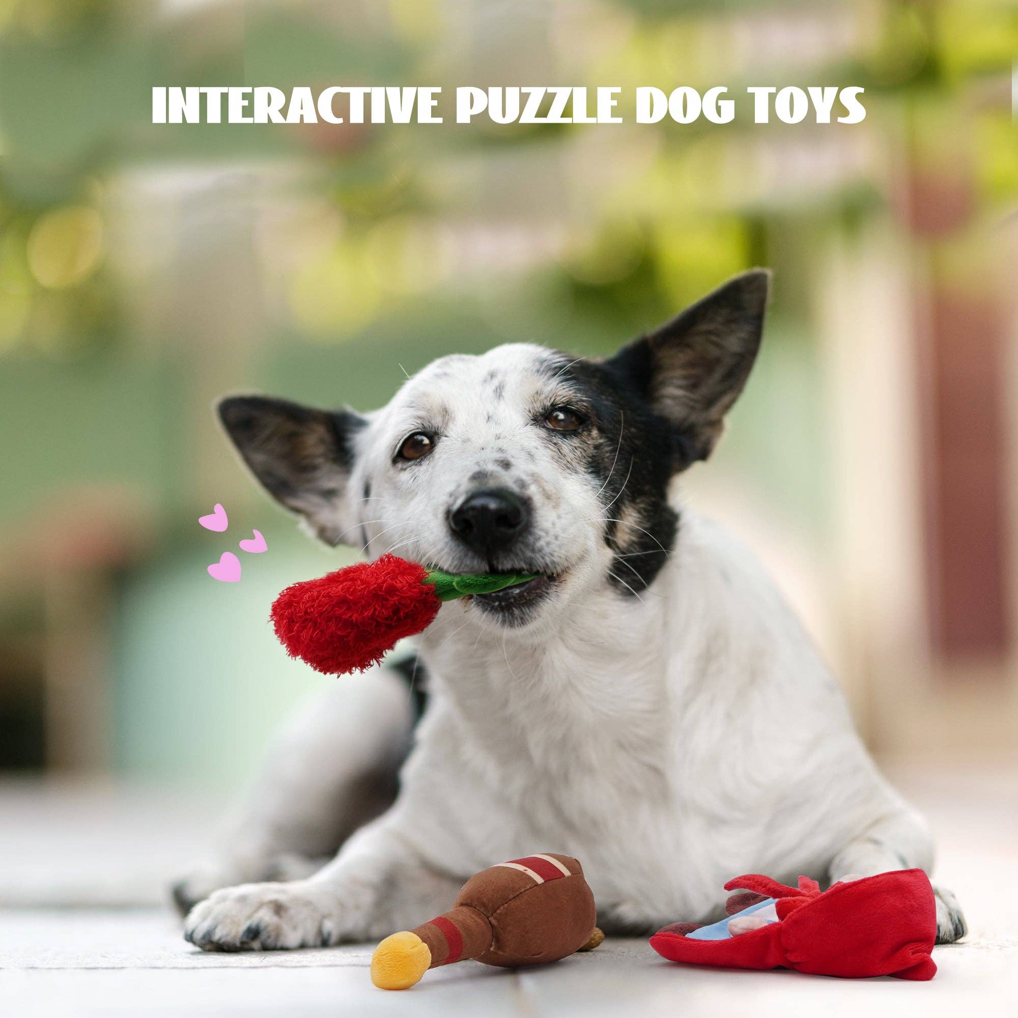 Nocciola - Wholesale Pet Squeaky Toy - Dog - Nocciola Fairy Tale Squeaky Dog Toys1