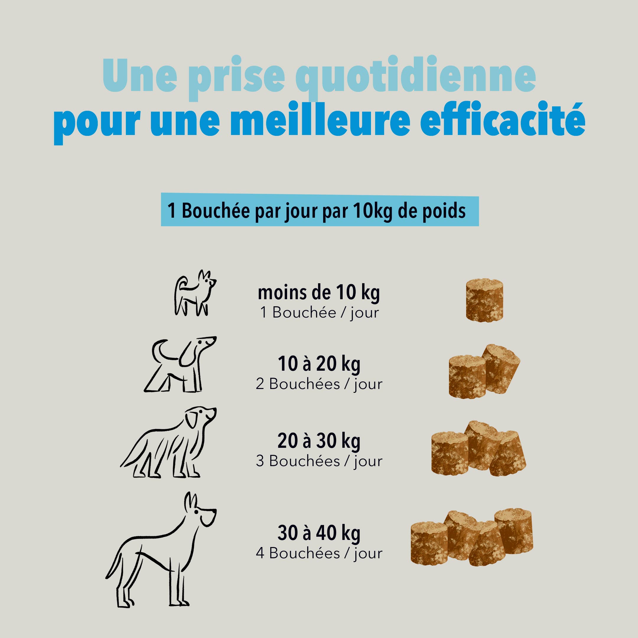 Delamour - Wholesale Pet Supplement - Dog - Les Bouchées - 90 chews to fight Anxiety (270g)4