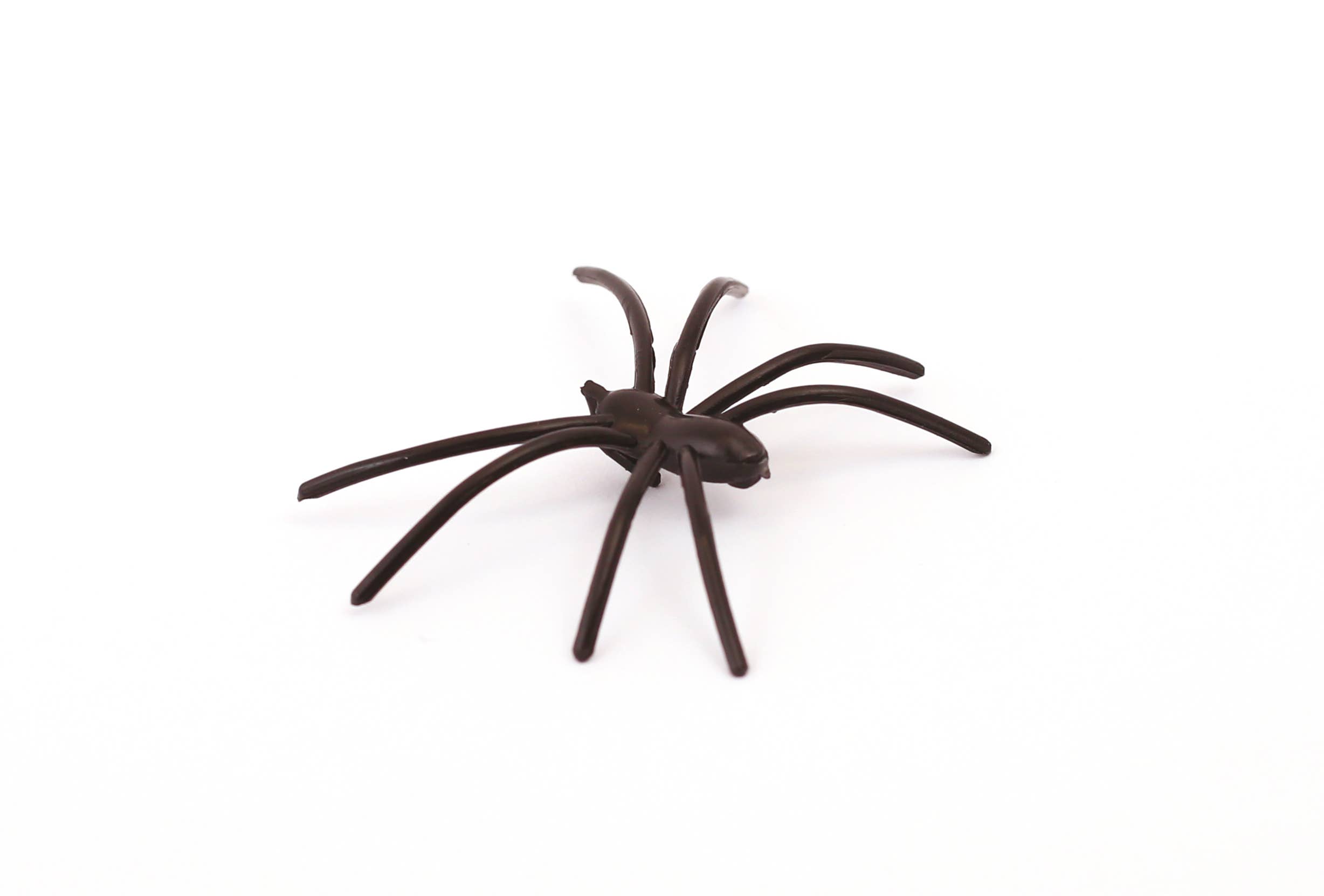 Graine Créative - Wholesale Wall Decor - Kids & Baby - HALLOWEEN SPIDER WEB1