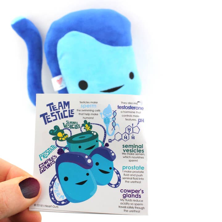 I Heart Guts | Organ Plushies Wholesale – wholesale Stuffed/plush toy – Kids & baby – Testicle Plush - Having a Ball