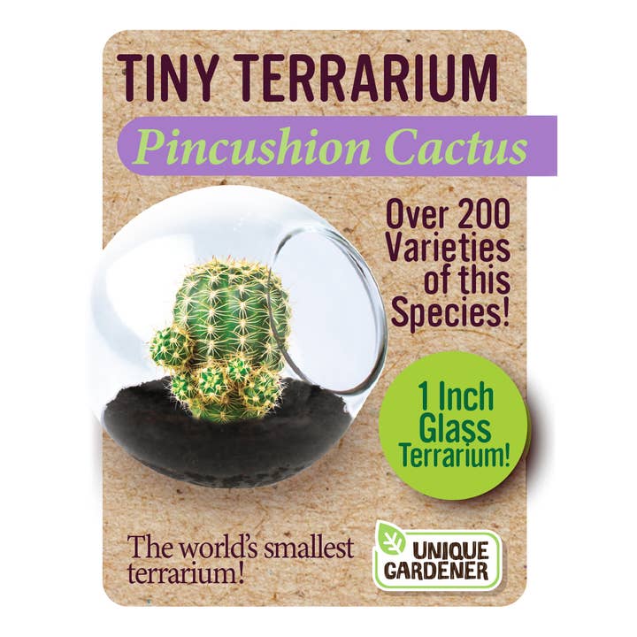 Silver Circle Products - Wholesale Retailer Display - Home & Living - Tiny Terrarium Cactus Counter Display with 6 Varieties6