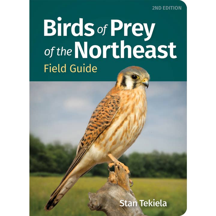 AdventureKEEN - Wholesale Nature & Outdoors - Birds of Prey of the Northeast Field Guide 2nd Edition
