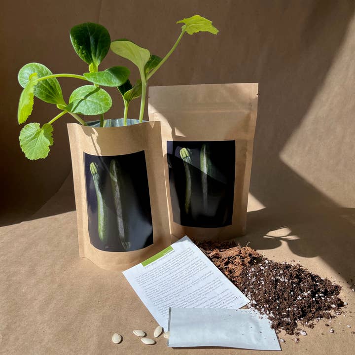 Seed Start | Zucchini | Spring Kitchen Garden Gift for wholesale by Potting Shed Creations, Ltd.