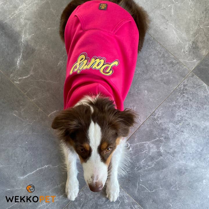 (SET VAN 6) Hoogwaardige hoodie voor hondenboetieks - Parijs - Perfect cadeau voor hondenliefhebbers - WEKKOPET voor wholesale door WEKKOPET