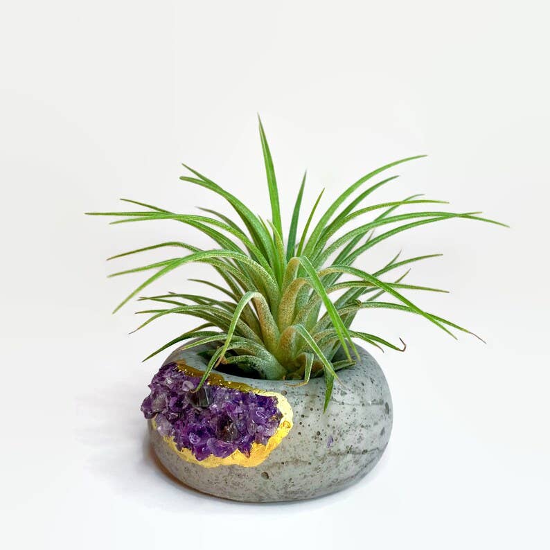 Planters Made in the USA - Wholesale Plant Pot - Crystal Air Plant Holder - Geode Planter Pot - Raw Amethyst2