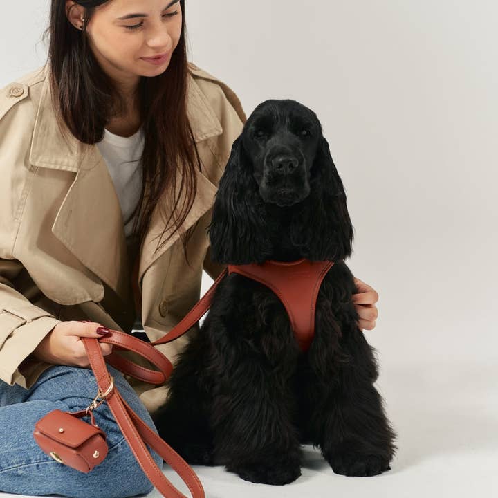 CAFIDE - Wholesale Pet Poop Bag Dispenser - Vegan Leather Brown Bag Holder, Jala2