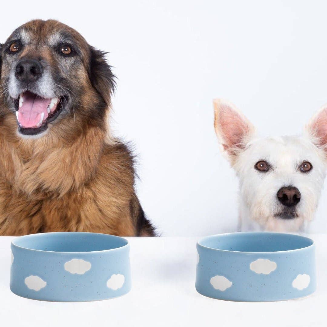 Egg Back Home USA - Wholesale Pet Bowl - Cat/Dog - Set of 2 Blue Large stoneware ceramic Pet Bowls — Cloud Collection1