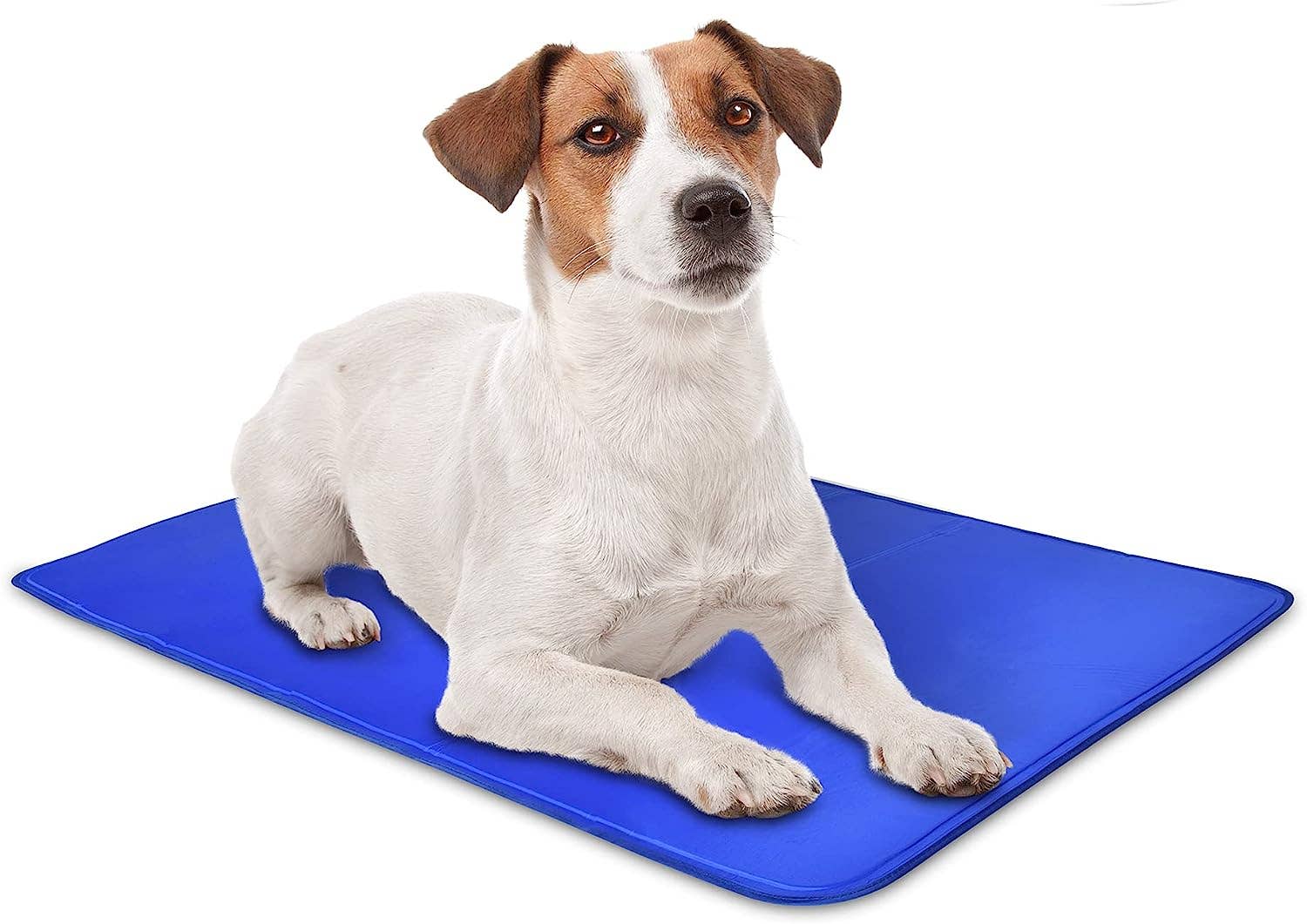 Arf Pets - Wholesale Pet Bed - Dog - Dog Cooling Mat, Small Animals, Mat Pad For Kennels & Beds2