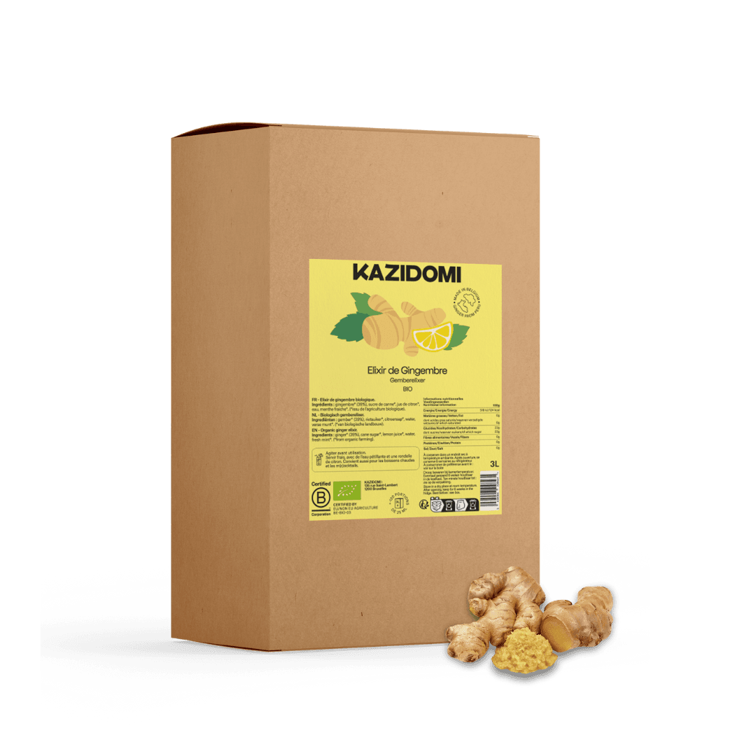 Kazidomi - Wholesale Elixir - Ginger Concentrate Elixir0