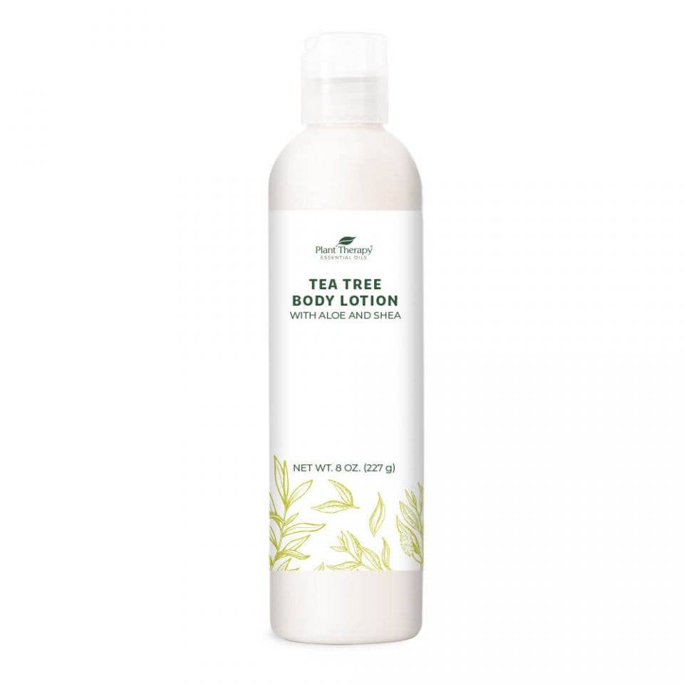 Wholesale Body Lotion with Aloe and Shea ( Tea Tree ) for your store - Faire