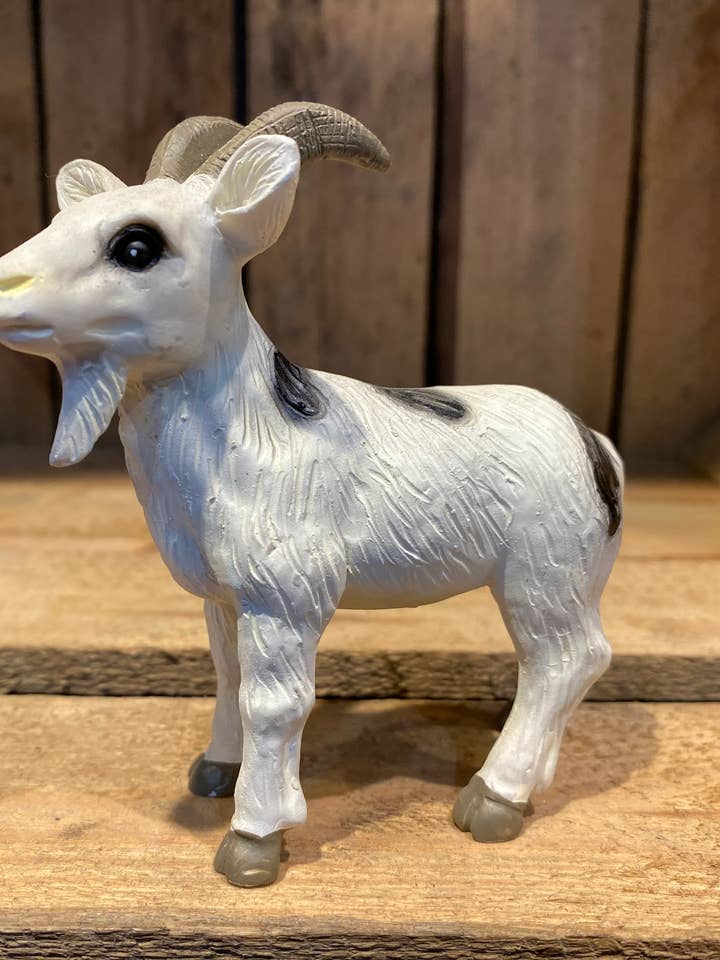 Miniaturziege gefärbt für den Großhandel von ABitQuackers