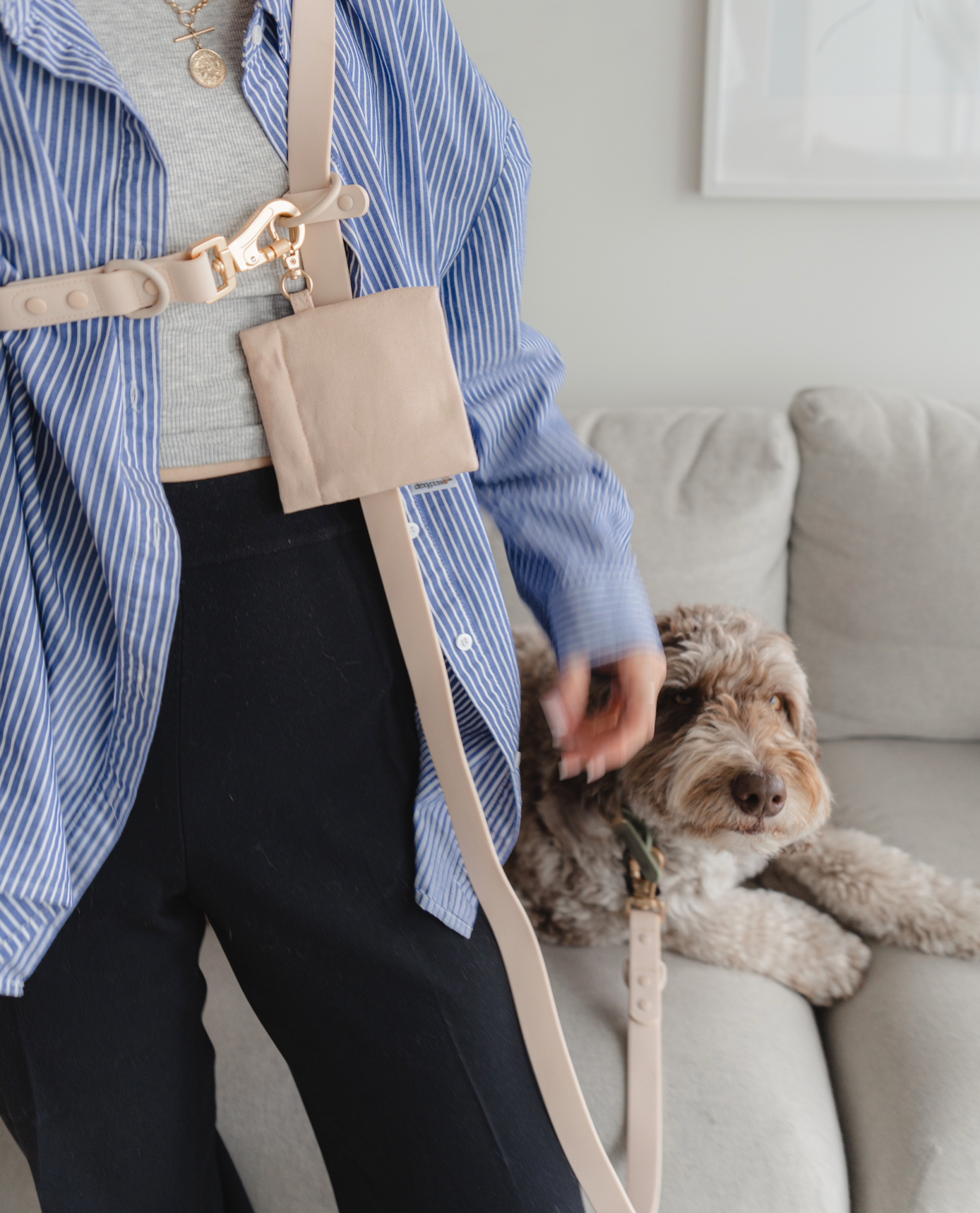 dexypaws – wholesale Hundkoppel - Hund – Handsfree koppel i beige1