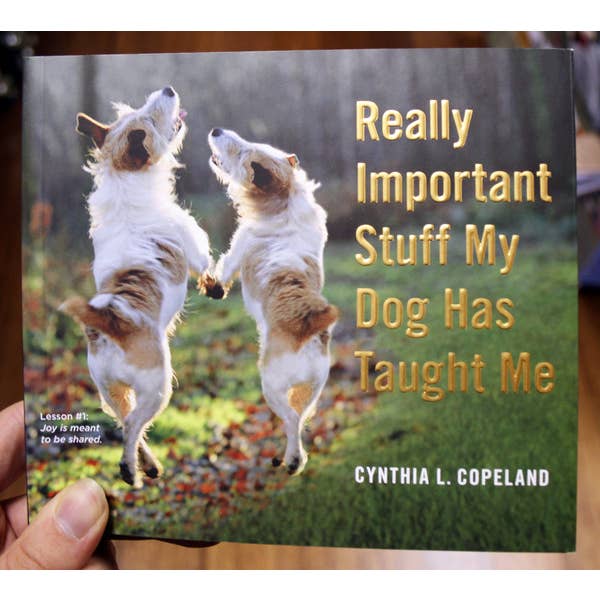 Really Important Stuff my Dog Has Taught Me for wholesale by Microcosm Publishing & Distribution