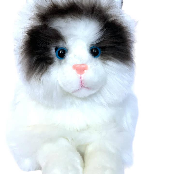 Auswella - Wholesale Stuffed/Plush Toy - Kids & Baby - Plush Cat- 16" Plush Ragdoll Kitten Stuffed Animal