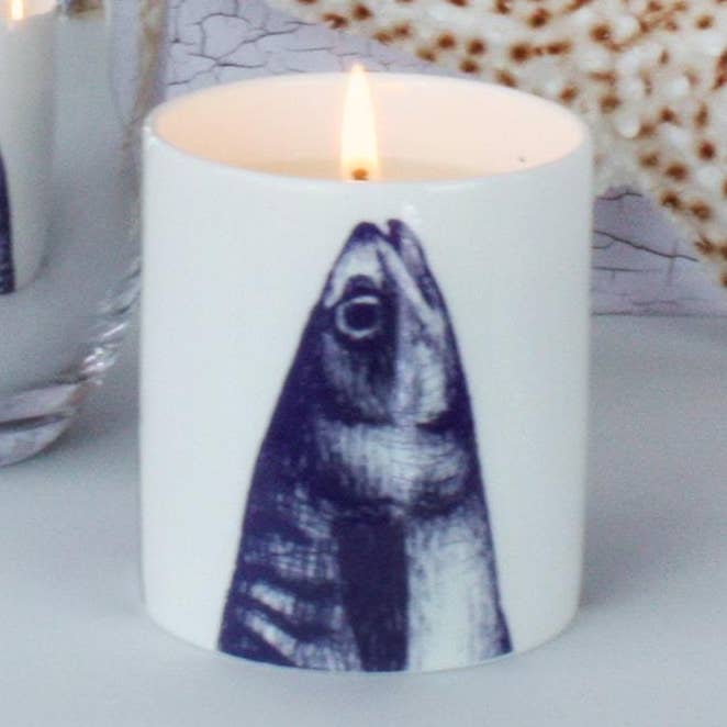 Stargazey Kerze für den Großhandel von Cream Cornwall