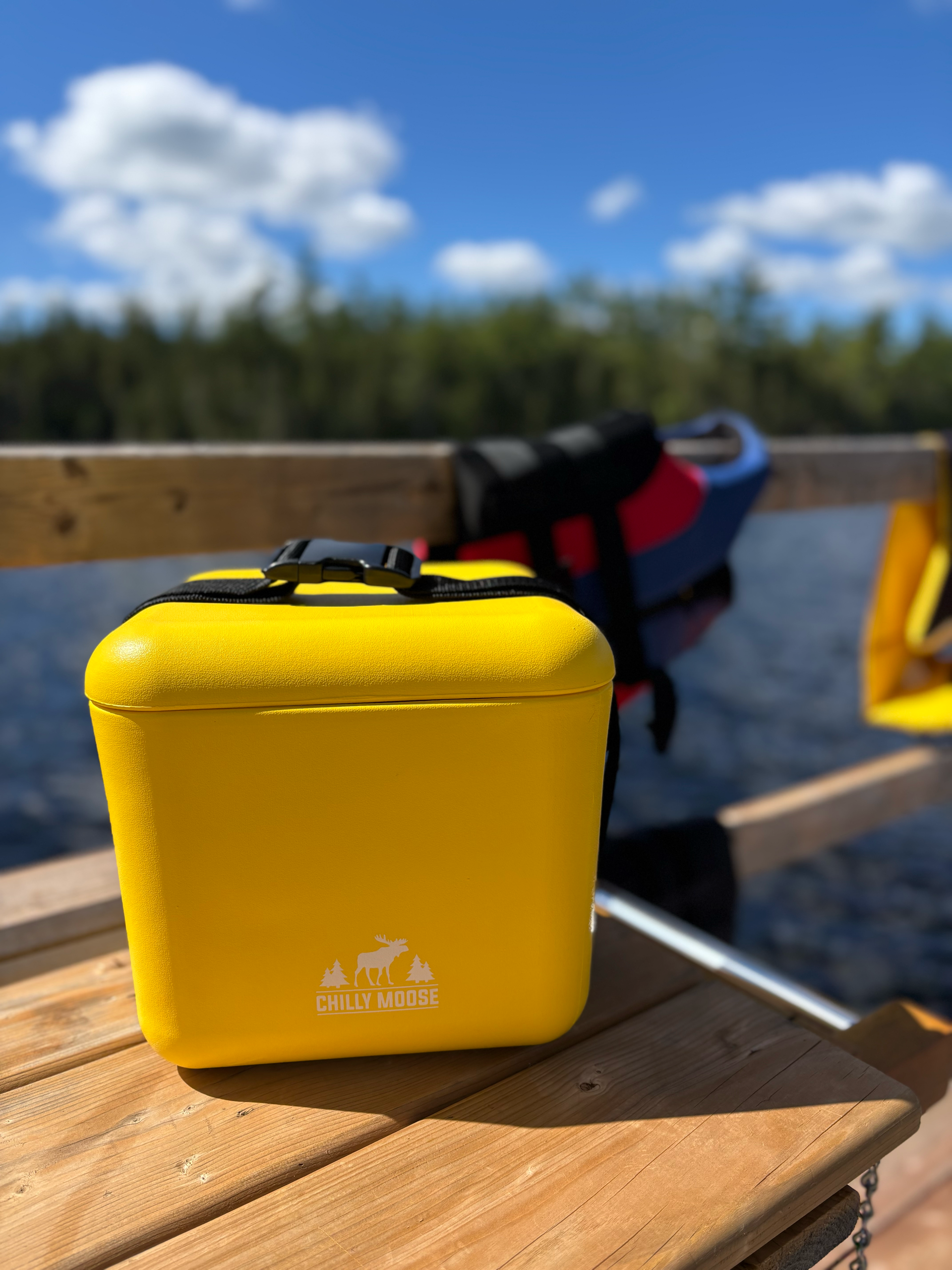 Chilly Moose - Vendita all'ingrosso Borsa termica/frigo - 9L Cabot Cooler Cube9