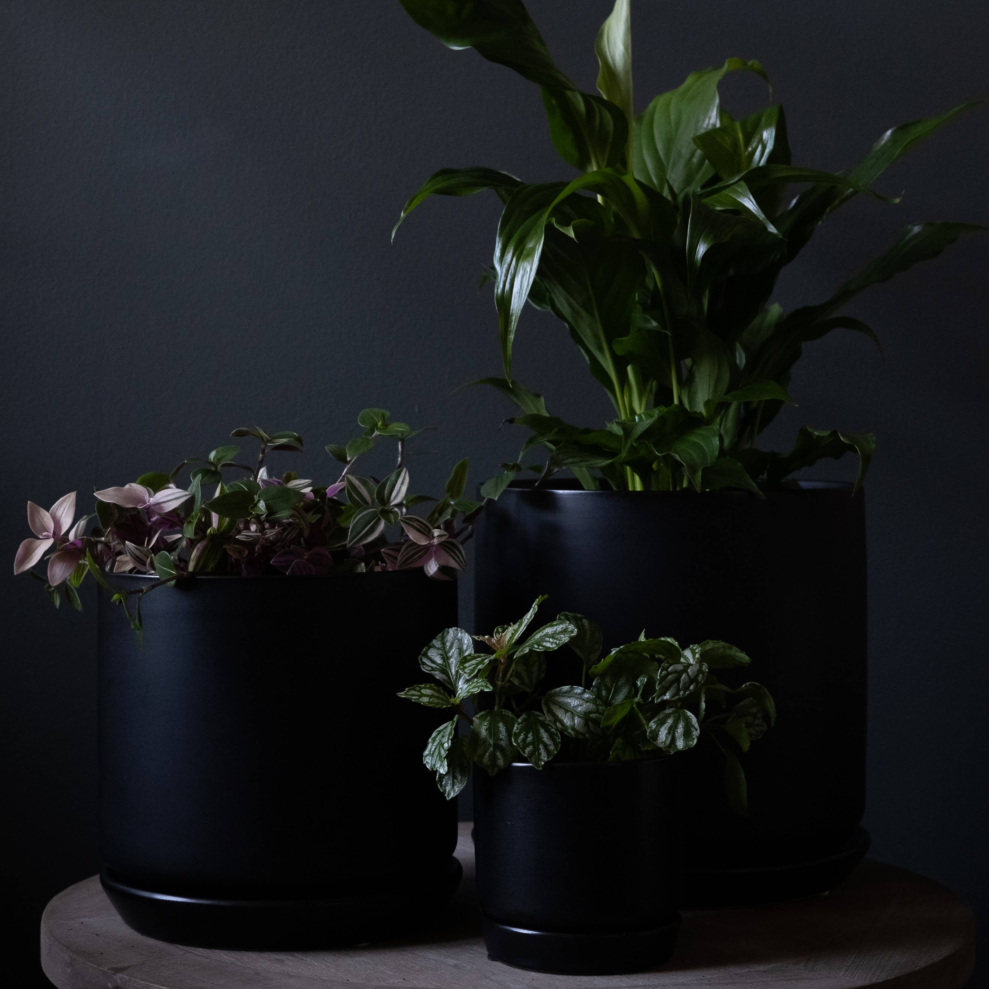 Potted - Wholesale Plant pot - Small Oslo Planter Jet Black1