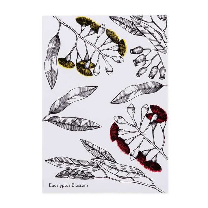 Postkarte - Vintage Eukalyptus und Blüte für den Großhandel von Saltbush Creations