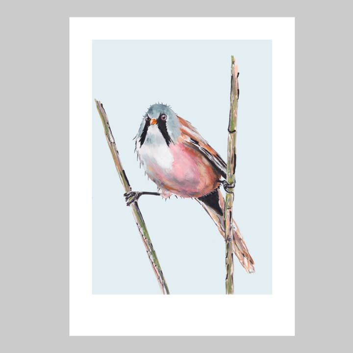Bearded Tit Art Print Wetland Bird Wall Art Nature Wildlife for wholesale by Ellwood Parker