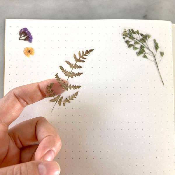 Botanopia USA - gifts , decor and cards for plant lovers - Wholesale Sticker - Pressed Flowers Sticker Sheet9