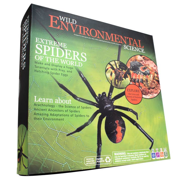 Learning Advantage - Wholesale DIY Craft Kit - Kids - Extreme Spiders of the World1
