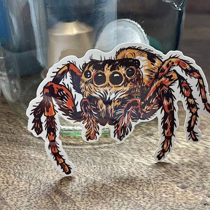 Baileys General - Wholesale Sticker - Jumping Spider Sticker4